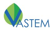 VASTEM