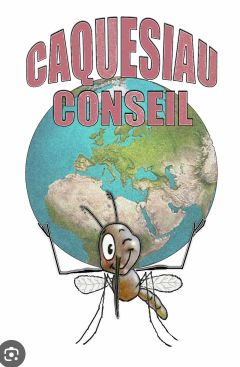CAQUESIAU CONSEIL